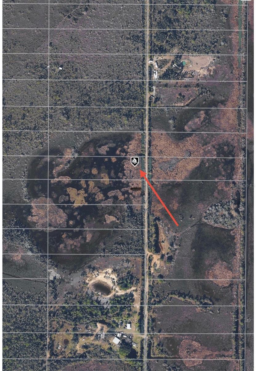 Located close to I-75 and Oil Well Road. This is a great location with many options for use. AG zoning allows for - residential development, farm- vegetable, grain, poultry, livestock breeding, Horses, Barns, Stables, Recreational facilities, Harvesting, sale of goods grown on premises, Plant Nursery, and many other uses! (please refer to the attachment on the listing for a full list of possibilities) Proximity to waterways, local beaches, dining, shopping, and golf courses makes this property ideal for the Florida lifestyle. Also, easy access to public parks with bike and walking trails and picnic areas, and boat ramps providing access to many waterways, beautiful Charlotte Harbor, and the Gulf of Mexico. Quiet rural community yet all conveniences and amenities nearby. At the time of listing this is not a Scrub Jay area. Suggest buyers get a survey for actual dimensions. Not within the Scrub Jay Permit Boundary, please confirm with the County website. Buyers should contact the county for any questions or concerns. Seller discloses that public online mapping tools indicate potential wetland areas on the Property. Seller has conducted no independent engineering or environmental studies. Buyer is explicitly granted a feasibility period to conduct a professional wetland delineation and verify buildability."Listing agent is a member of the selling LLC.