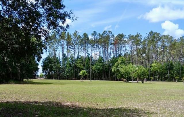 CARPENTER GROVE - Residential