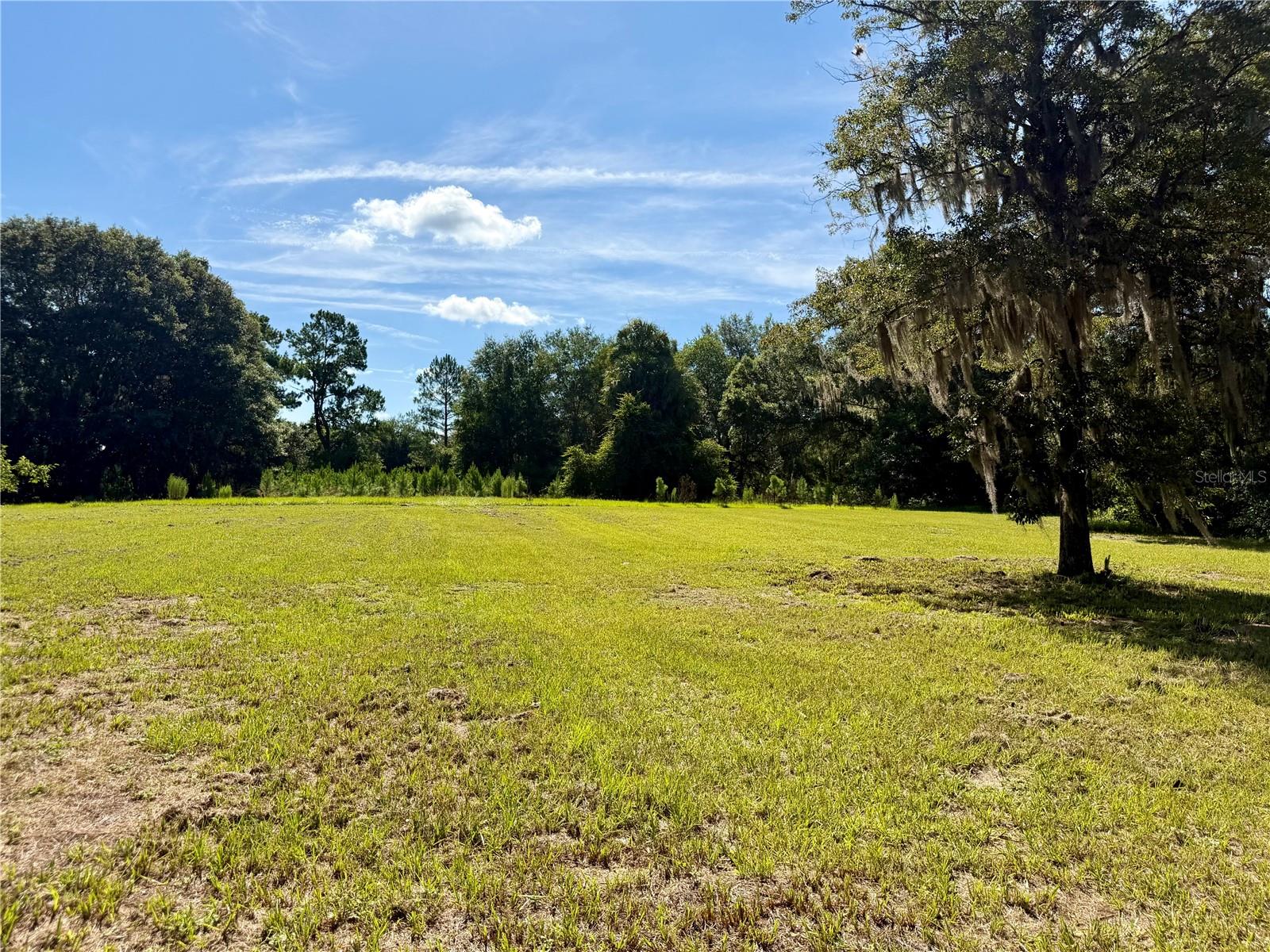 CITRA MINI ACRES - Residential