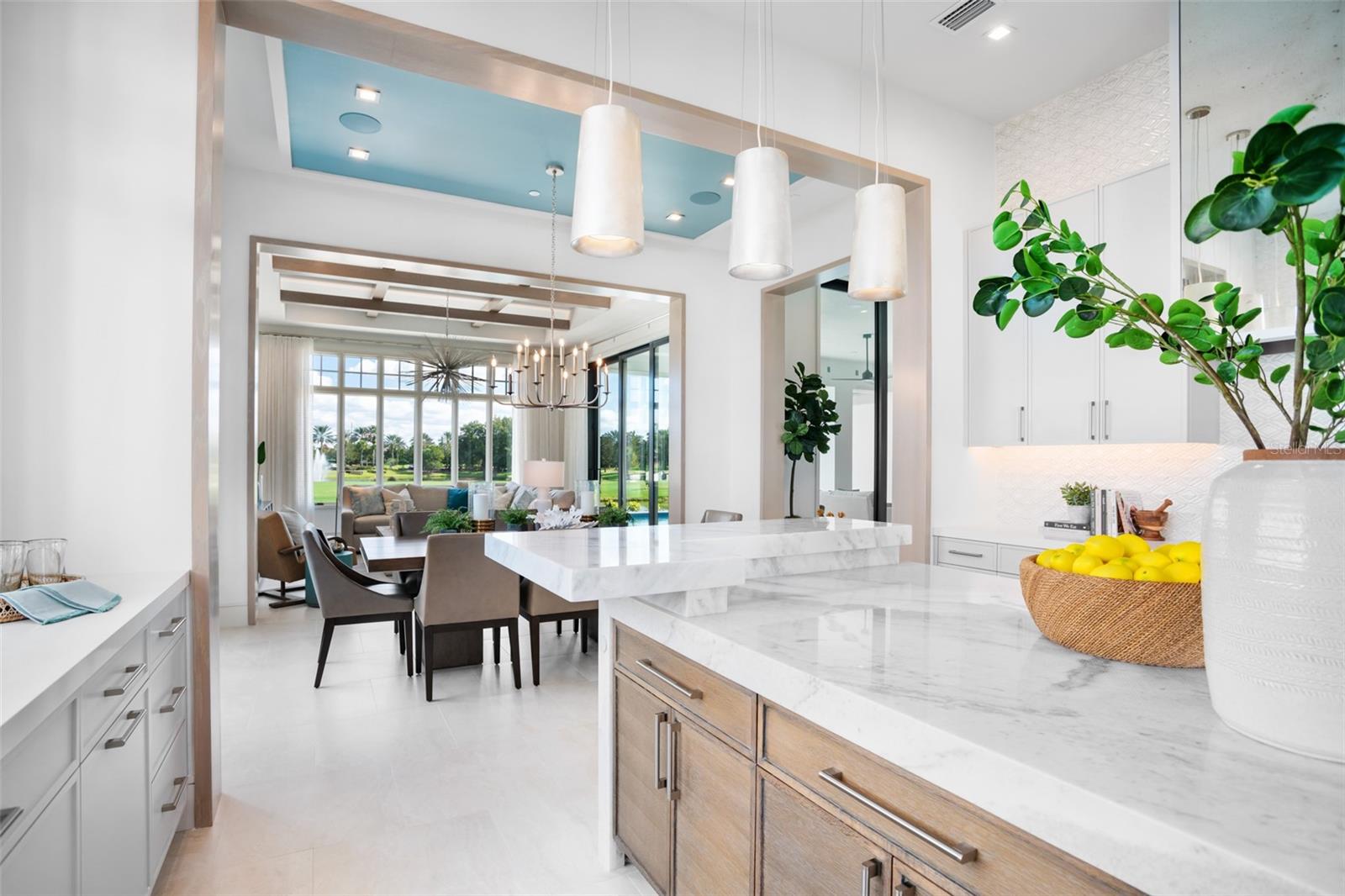 RITZ-CARLTON RESIDENCES, ORLANDO - Residential