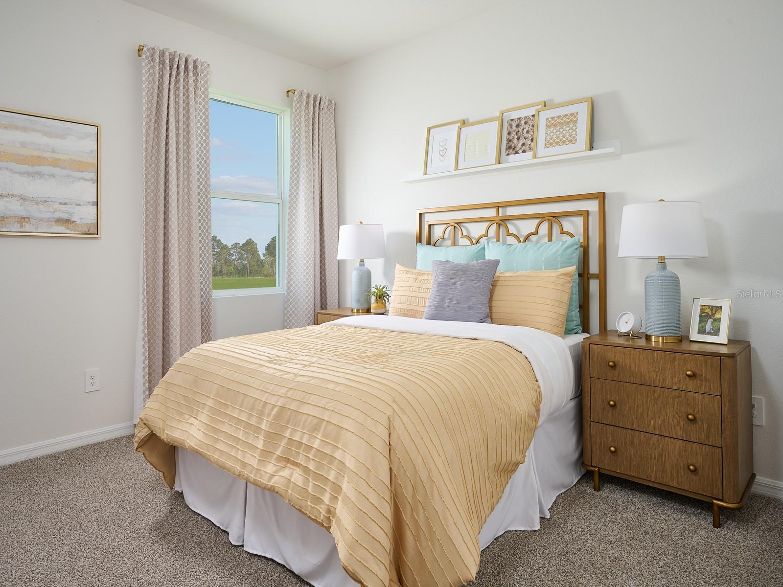 PINE RIDGE MEADOWS - Residential