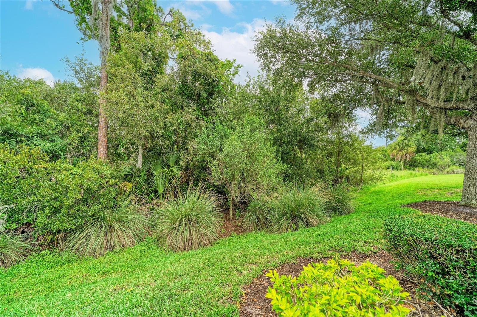 LAKEWOOD RANCH CCV SP EE U2A-2E - Residential