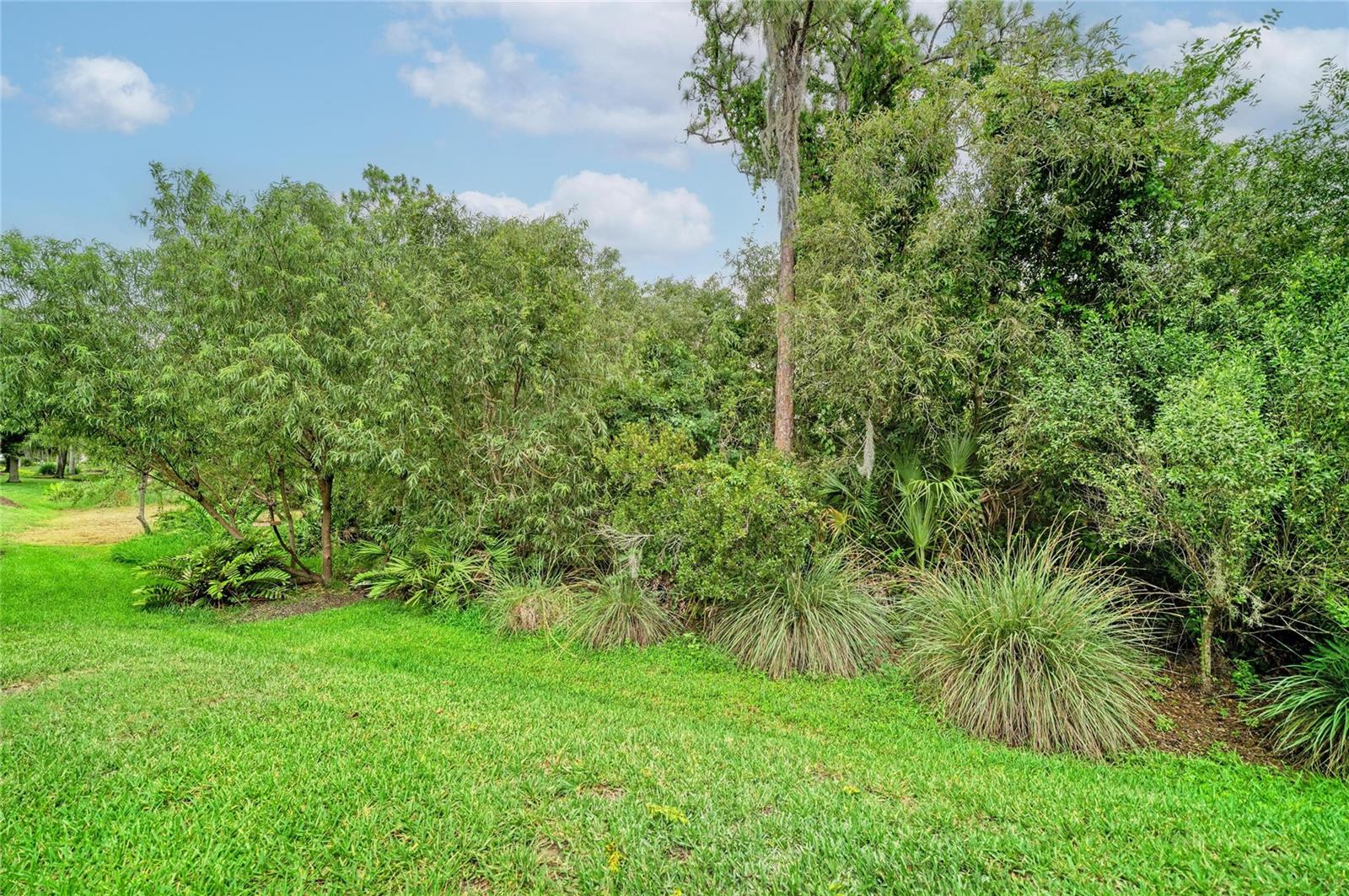 LAKEWOOD RANCH CCV SP EE U2A-2E - Residential