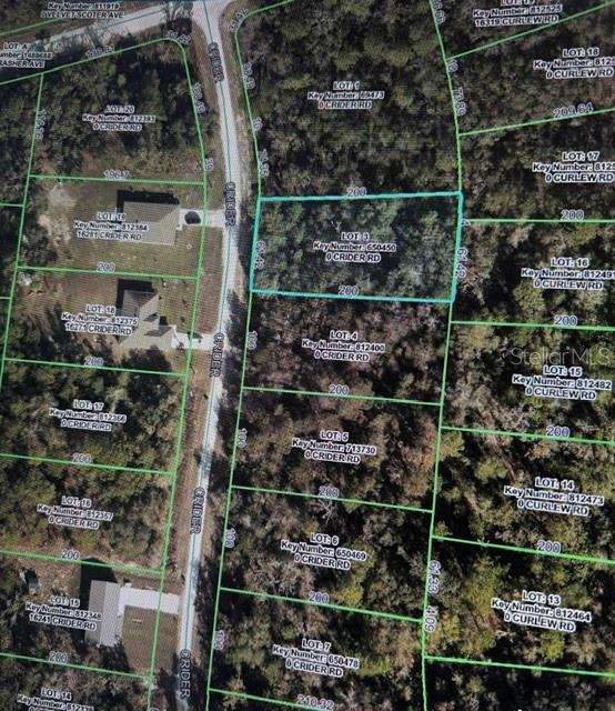 1/2 acre lot on quiet street with no HOA, flood zone X, new builds across from property and no build next door to lot. Electric at street, well and septic needed.

Dimensions are from public records.