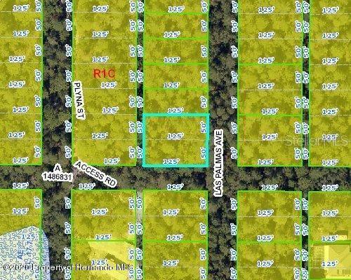 This lot is near a nice community with beautiful homes and a lot of amenities including restaurants, banks, medical, hospital, shopping centers, supermarkets, and big box stores. If you enjoy sunsets, swimming, fishing, boating, kayaking or canoeing, there's a handful of local parks along the water including Weeki Wachee, Rogers Park, Jenkins Creek, Linda Pedersen, and Pine Island beach at the Gulf of Mexico. It's located approximately 1 hour drive to Tampa & St. Pete Airports and 1.5 hours to Orlando and Ocala. No HOA. The road is dirt and not county maintained. Situated about 1 block north of Berkeley Manor subdivision.