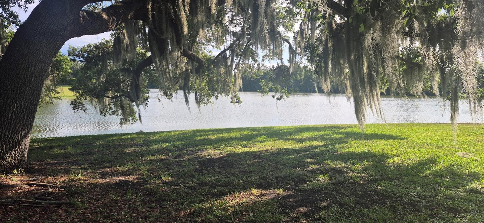 PRESERVE AT MISTY CREEK EAGLES WATCH - Residential