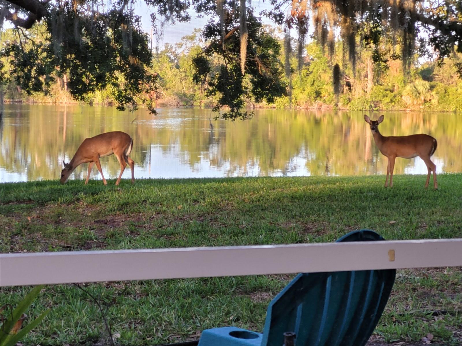 PRESERVE AT MISTY CREEK EAGLES WATCH - Residential