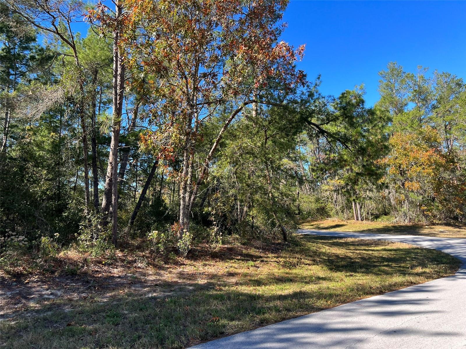 MARION OAKS - Land