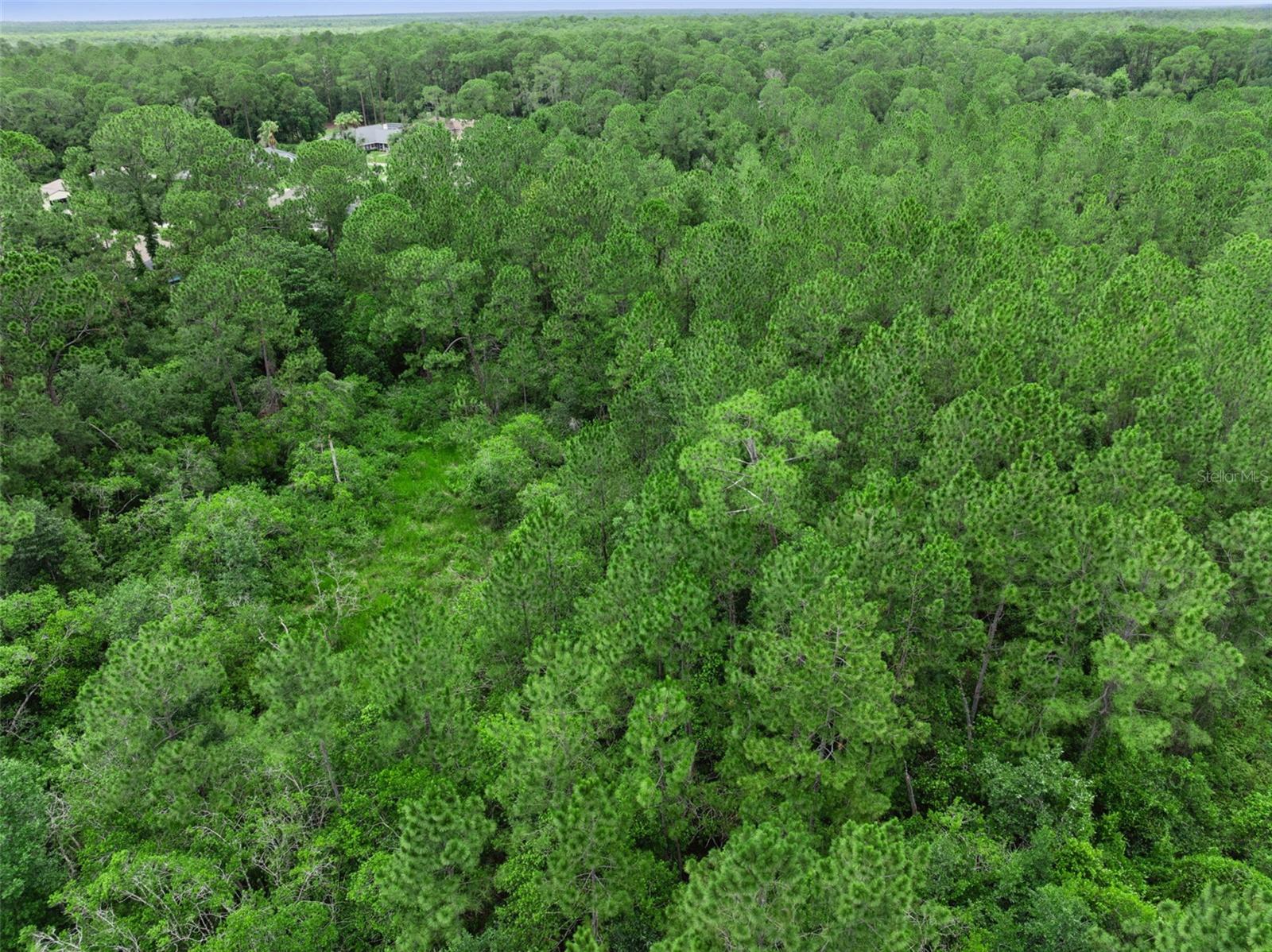 Build Your Dream Home on Over Half an Acre in DeBary!

Rare opportunity to own 0.53 acres of buildable residential land in the growing community of DeBary. Located at 35 Fyfe Ave, this spacious homesite offers the perfect setting to build your custom dream home with plenty of room for a pool, workshop, detached garage, RV parking, or outdoor living space.

Situated on a quiet street, this property combines the privacy and flexibility of a larger lot with the convenience of nearby shopping, dining, schools, parks, and major roadways. Enjoy easy access to I-4, making commuting to Orlando, Lake Mary, and surrounding Central Florida communities simple and convenient.

Whether you're a homeowner ready to build, an investor seeking future value, or a builder looking for your next project, this residential lot presents an exceptional opportunity in one of Central Florida's fastest-growing areas.

Bring your vision and make it a reality on this beautiful half-acre homesite in DeBary!