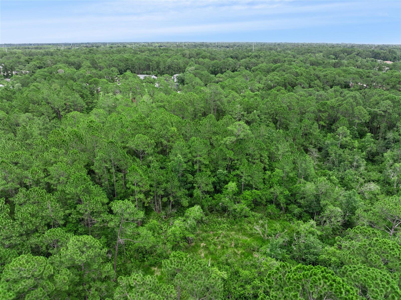 ST JOHNS RIVER ESTATES UNIT 01 - Land