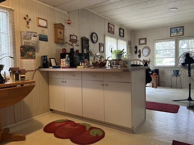 ORANGE BLOSSOM HILLS REP UN - Residential