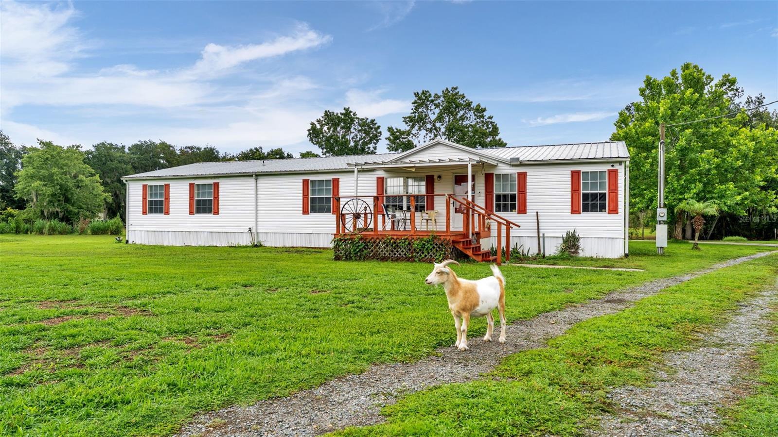 FORESTVIEW ESTATES - Residential