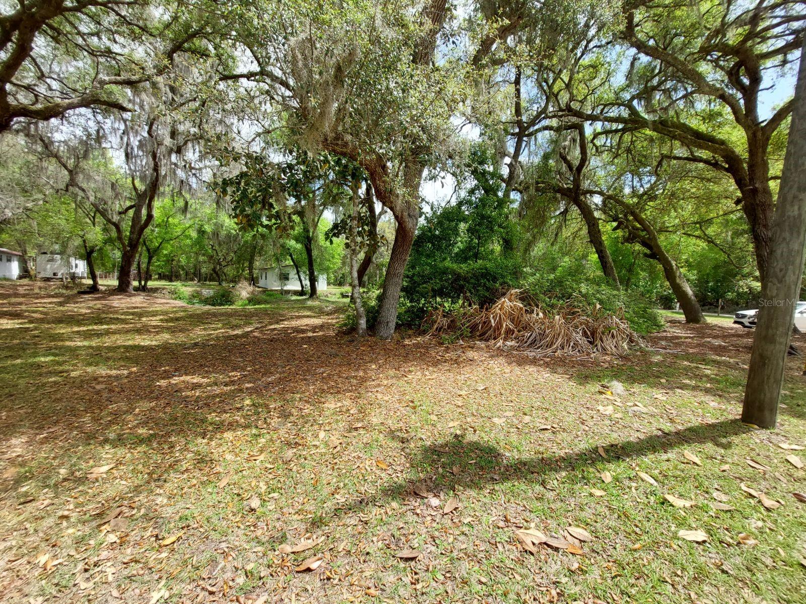 WHOA! Stop your Horses!! Almost 1/2 acre, vacant land, on the Canal that leads to Lake Delancy! HUGE PRICE IMPROVEMENT!! Oh what fun this could be?!! If you have been seeking a private piece of land, directly on a canal that leads to a freshwater lake for fishing and fun, inclusive of your own personal small boat launch on the property... You have found it!!  This could be your weekend get away... your secondary residence...income producing or build your quaint homestead to live the quiet, fresh air, boating, hunting, horseback riding lifestyle...every day!  The location of this property is close to ATV trails, horseback riding trails, Hiking, Hunting, Fishing, kayaking, Lake Kerr, Lake George, Palatka, St John's River, Ocala National Forest and more!  Only 8 miles to Salt Springs, less than 2 hours to either coast ( enjoy the Gulf or the Atlantic!) and multiple destinations along the way!  The location gives you seclusion, with just a short commute to shopping, dining, larger cities, airports, etc.  So, if this lifestyle has been on your bucket list, you will want to check into this property a little closer...and start making your plans!

This listing includes 2 parcel id's 05665-106-01 AND 05664-106-04, which is a total of 4 lots, total size together, approx 200' x 90'

There was a small home on the property that was a permitted demolition in 2013.  Well was capped off.. septic tank status unknown. All information is deemed to be accurate, however, can not be guaranteed, interested parties encouraged to perform their own due diligence. Please verify all information and your future plans with the local zoning and building department.