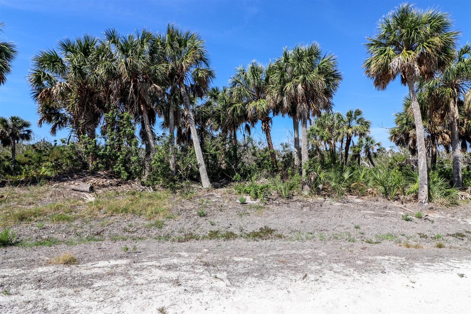 SABAL PALM POINT - Land