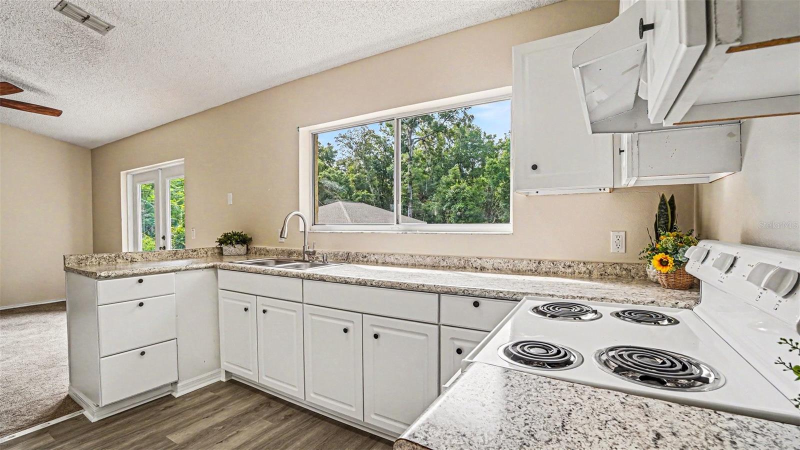 SILVER SPRINGS SHORES - Residential