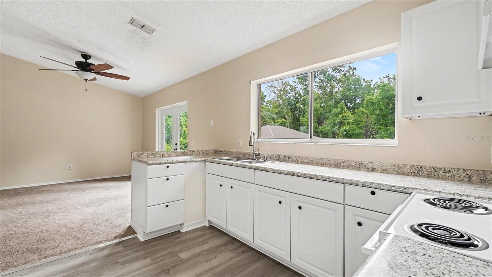 SILVER SPRINGS SHORES - Residential