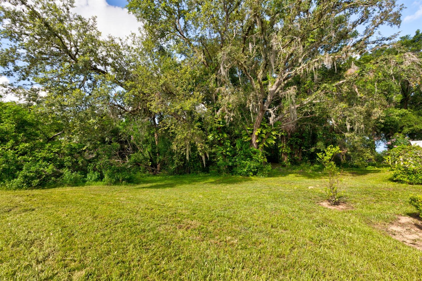 EUSTIS LAKE NETTIE COURT - Land
