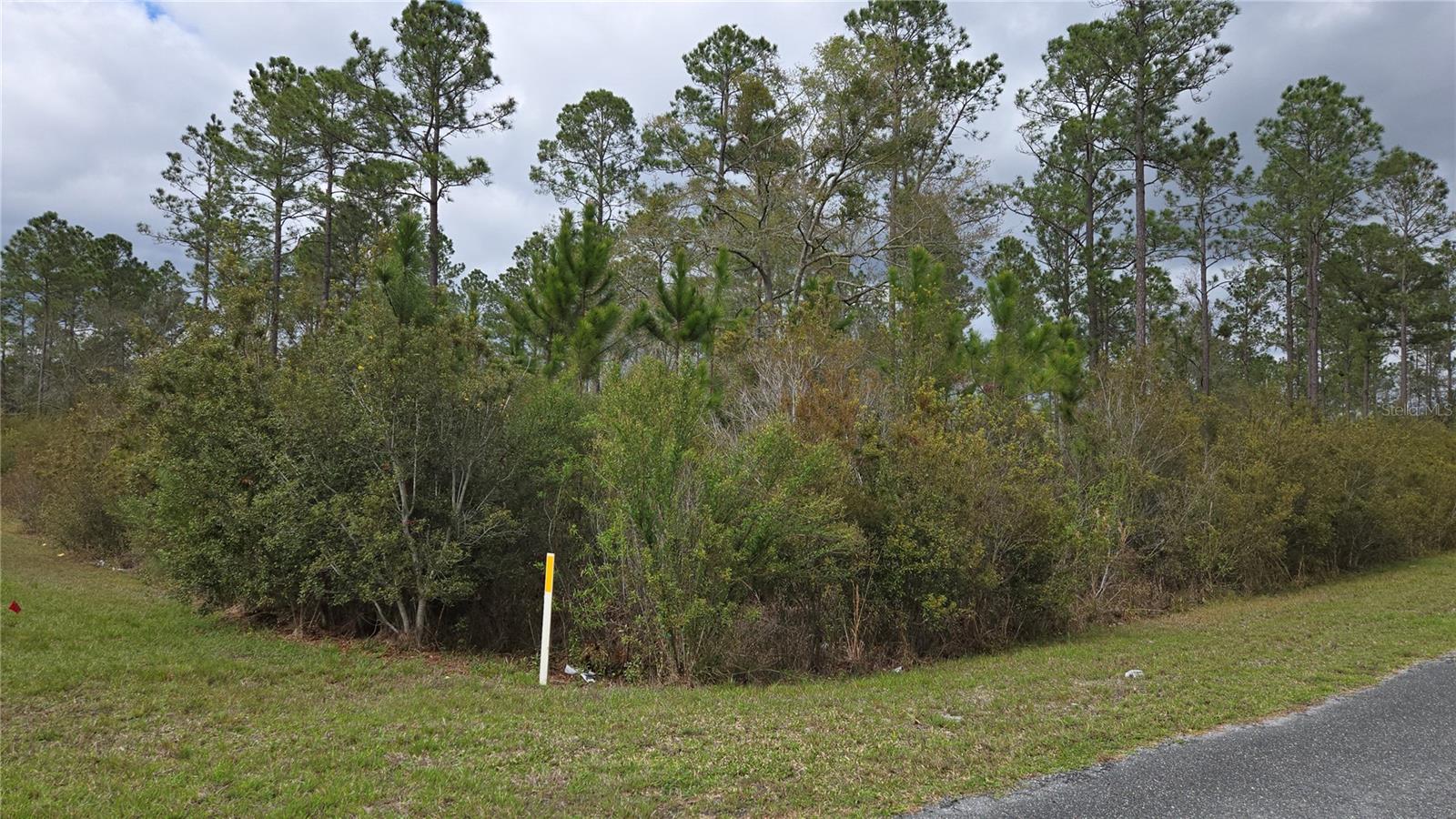 2.16 Acres Corner Lot. This property provides room to build a custom home. With site-built homes only, the neighborhood maintains a clean and attractive residential feel while still giving owners the space and freedom to expand on their property. Roads are paved with driveway entrances already in place. The neighborhood is a short drive to Lake City and Interstates 10 & 75.