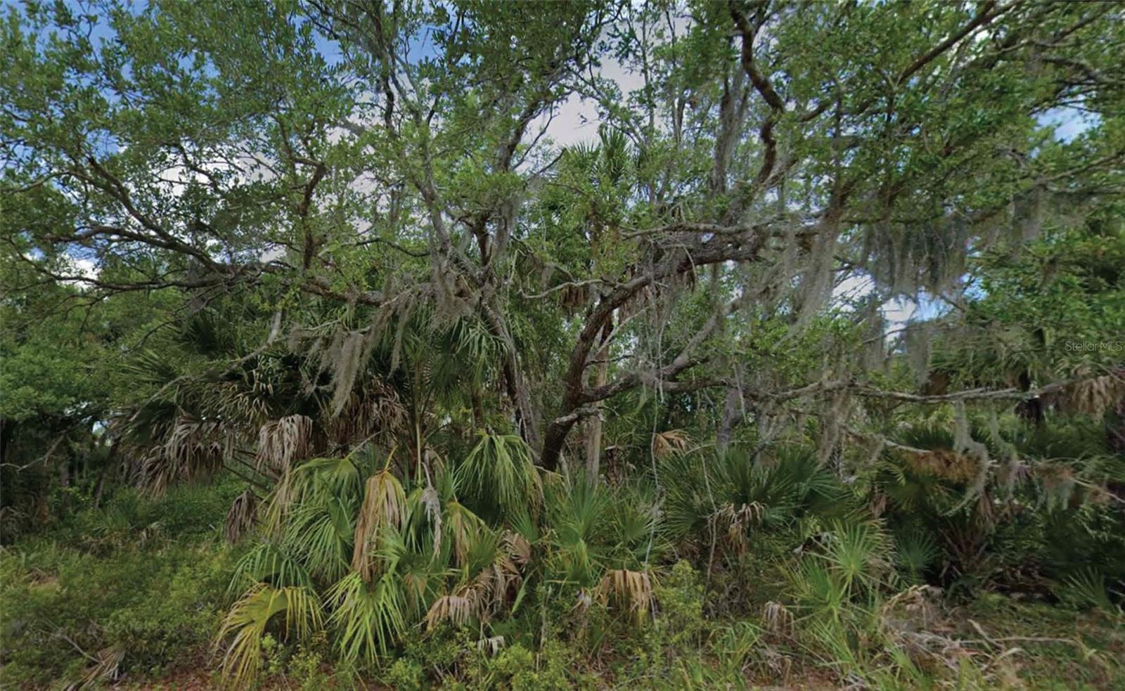 Build your Florida dream home on beautiful lot in the growing community of Port Charlotte! Zoned RSF-3.5 for single-family residential use, this parcel offers extra space for your home, garage, or outdoor living area. Conveniently located near shopping, dining, schools, golf courses, parks, boating, and Gulf beaches, with easy access to North Port, Englewood, and I-75.All information is deemed reliable but should be independently verified.