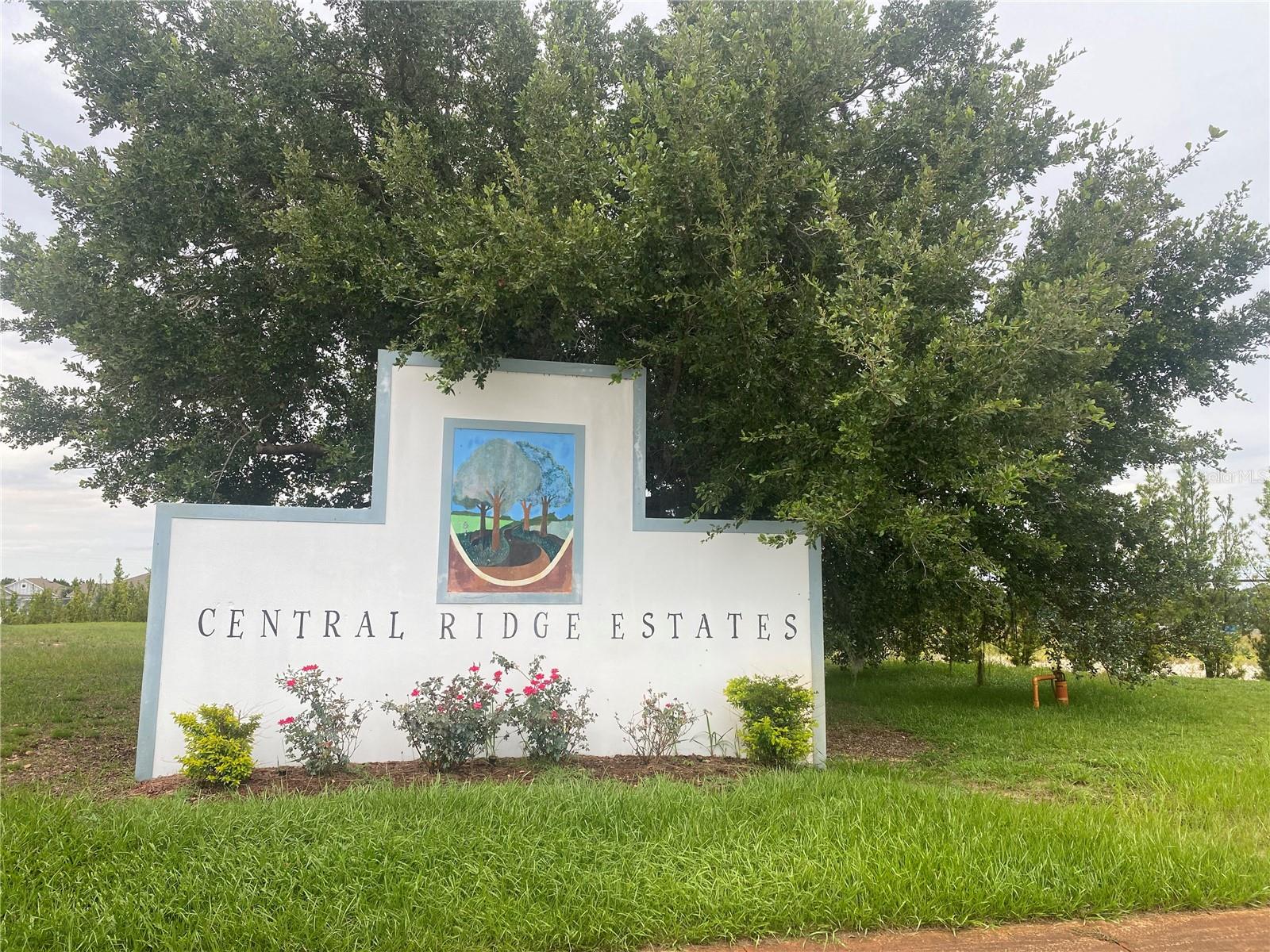 CENTRAL RIDGE ESTATES - Residential