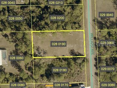 High and dry .5-acre cleared lot ready for your future home or investment. Come and build your dream home. Property includes an existing irrigation well with pressure tank already installed, offering added convenience during construction and future landscaping needs. Plenty of space with no clearing needed, making it easy to start building right away. Enjoy the flexibility and endless potential of this beautiful vacant lot.