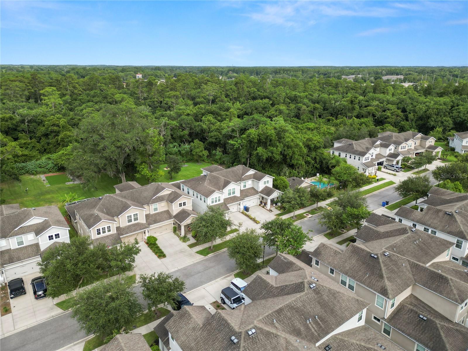 PARK BROOK OF CITRUS PARK - Residential
