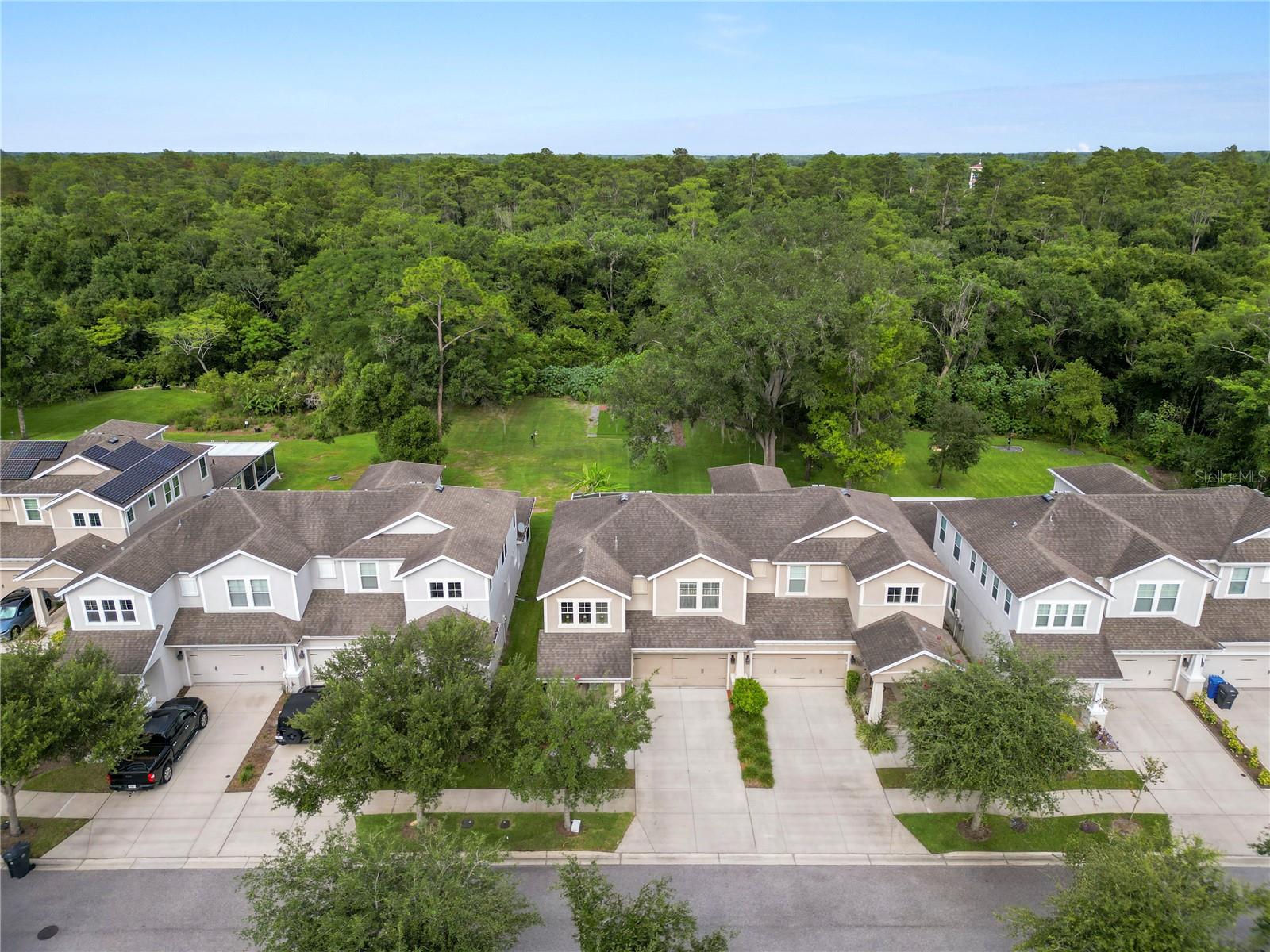 PARK BROOK OF CITRUS PARK - Residential