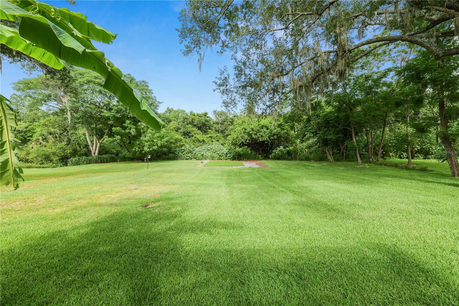 PARK BROOK OF CITRUS PARK - Residential