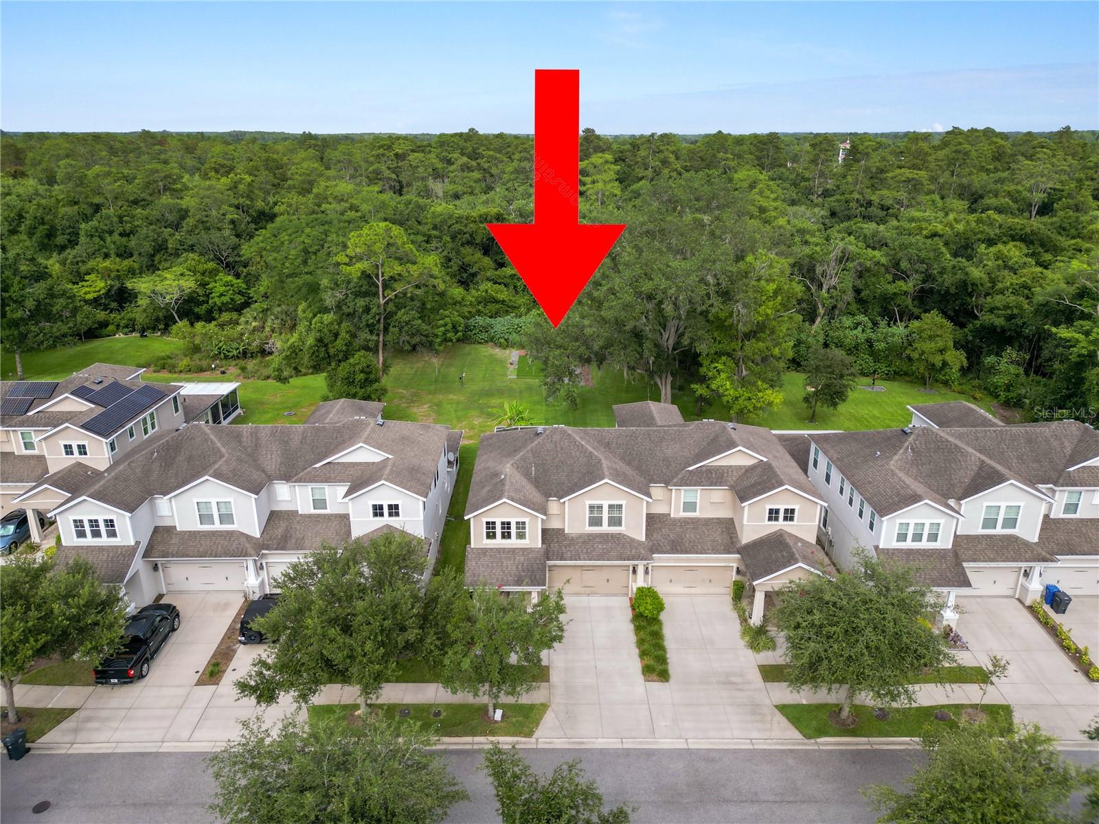 PARK BROOK OF CITRUS PARK - Residential