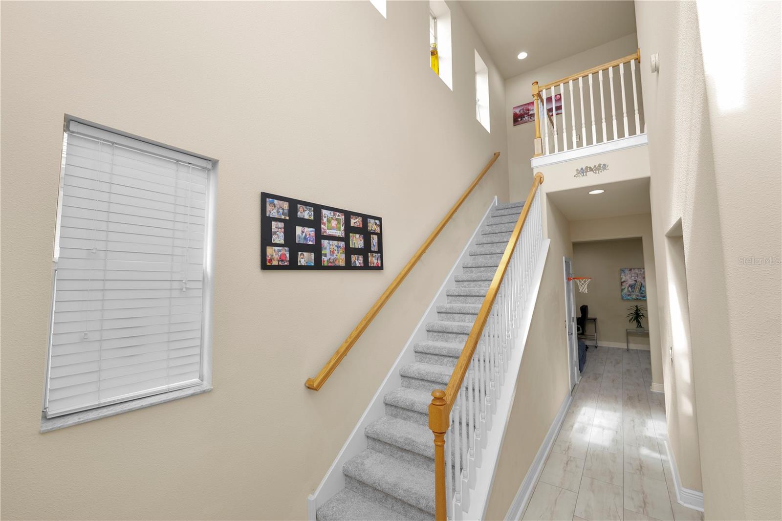 PARK BROOK OF CITRUS PARK - Residential