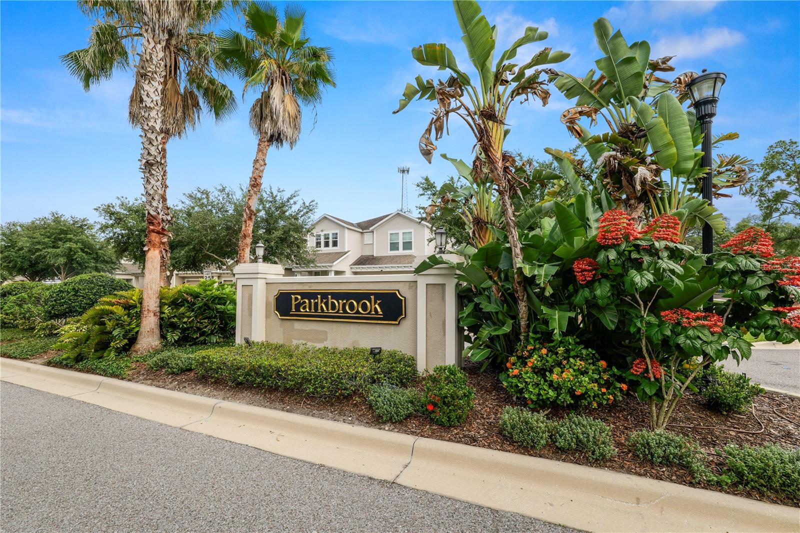 PARK BROOK OF CITRUS PARK - Residential