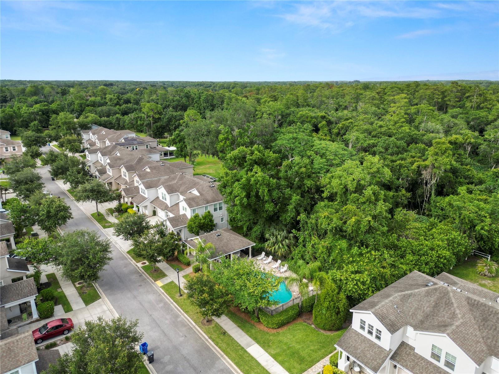 PARK BROOK OF CITRUS PARK - Residential