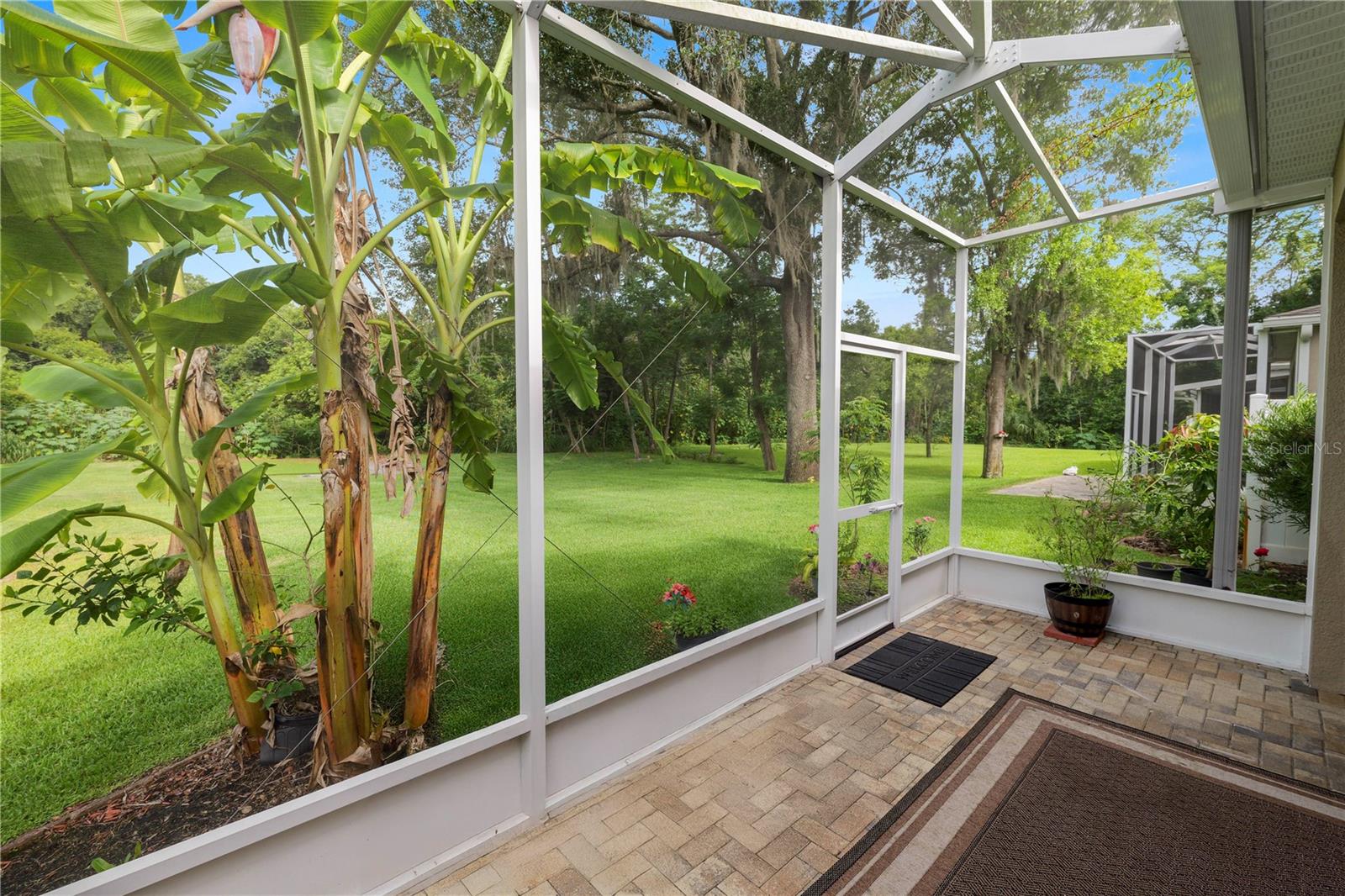 PARK BROOK OF CITRUS PARK - Residential