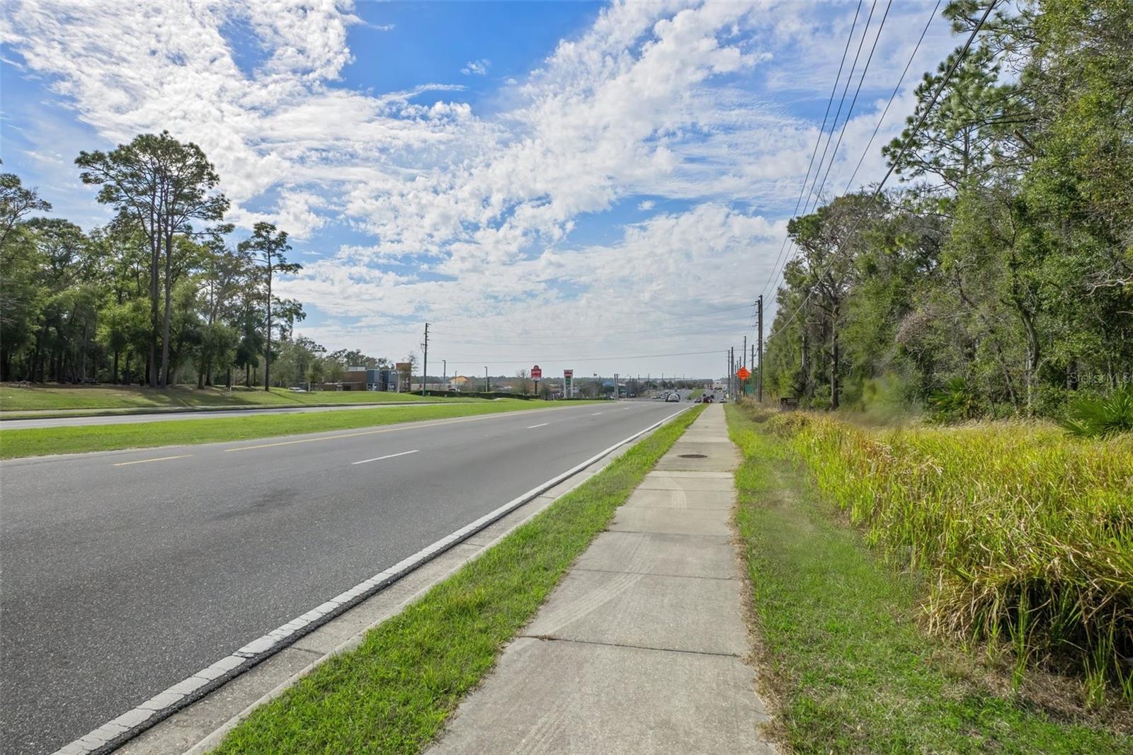 CRYSTAL RIVER CTRY ESTATES - Land