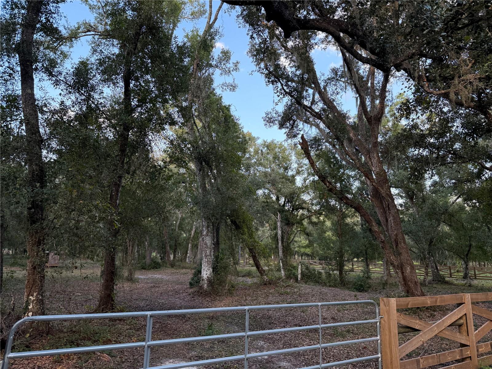 Almost Exceptional opportunity to own nearly 7 acres in one of DeSoto County’s most desirable neighborhoods. This beautiful AG-zoned property is fully fenced and cross-fenced, offering endless possibilities for your dream home, family compound, or mini farm. The property features two separate driveway entrances, providing convenient access and flexibility for future development.

Scattered throughout the property are magnificent mature oak trees that create a picturesque setting and provide shade and privacy. With plenty of room for horses, livestock, ATVs, RVs, boats, and other recreational toys, this property is ideal for those seeking the country lifestyle without sacrificing convenience.

Whether you’re looking to build your custom home, establish a hobby farm, or simply enjoy wide-open spaces, this rare acreage offers the perfect blend of beauty, functionality, and location. Properties of this size and quality in this sought-after area rarely become available. Don’t miss your chance to own a truly special piece of DeSoto County