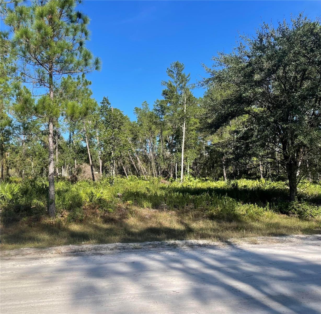 Seller is willing to consider seller-financing. Survey Included with this easily buildable lot in the established country-living community of Whispering Pines situated on a well-maintained road with easy access. With over an acre of high and dry land,  this expansive, partially-cleared lot is what you’ve been searching for! Zoned R-2 this lot is the perfect space for a single family detached home, secondary residential unit, or a duplex. This lot already has an irrigation well dug and power can easily be connected to the lot from the street. Located only a couple blocks away from the boat ramp taking you out to the St Johns River, this is a fantastic place for all sorts of outdoor activities! Go direct to see your next opportunity to create the home of your dreams, build up your investment portfolio, or a second home for a quiet, peaceful escape!
