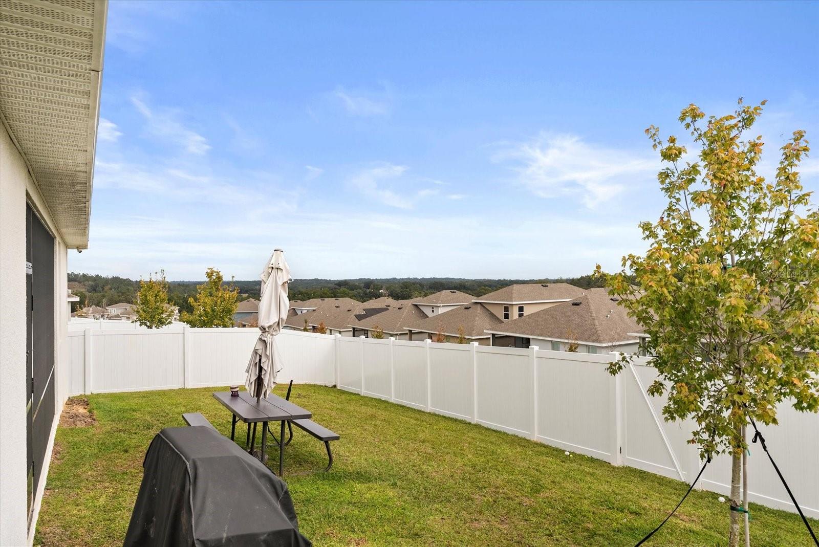 VILLAGES/MINNEOLA HILLS PH 3 - Residential