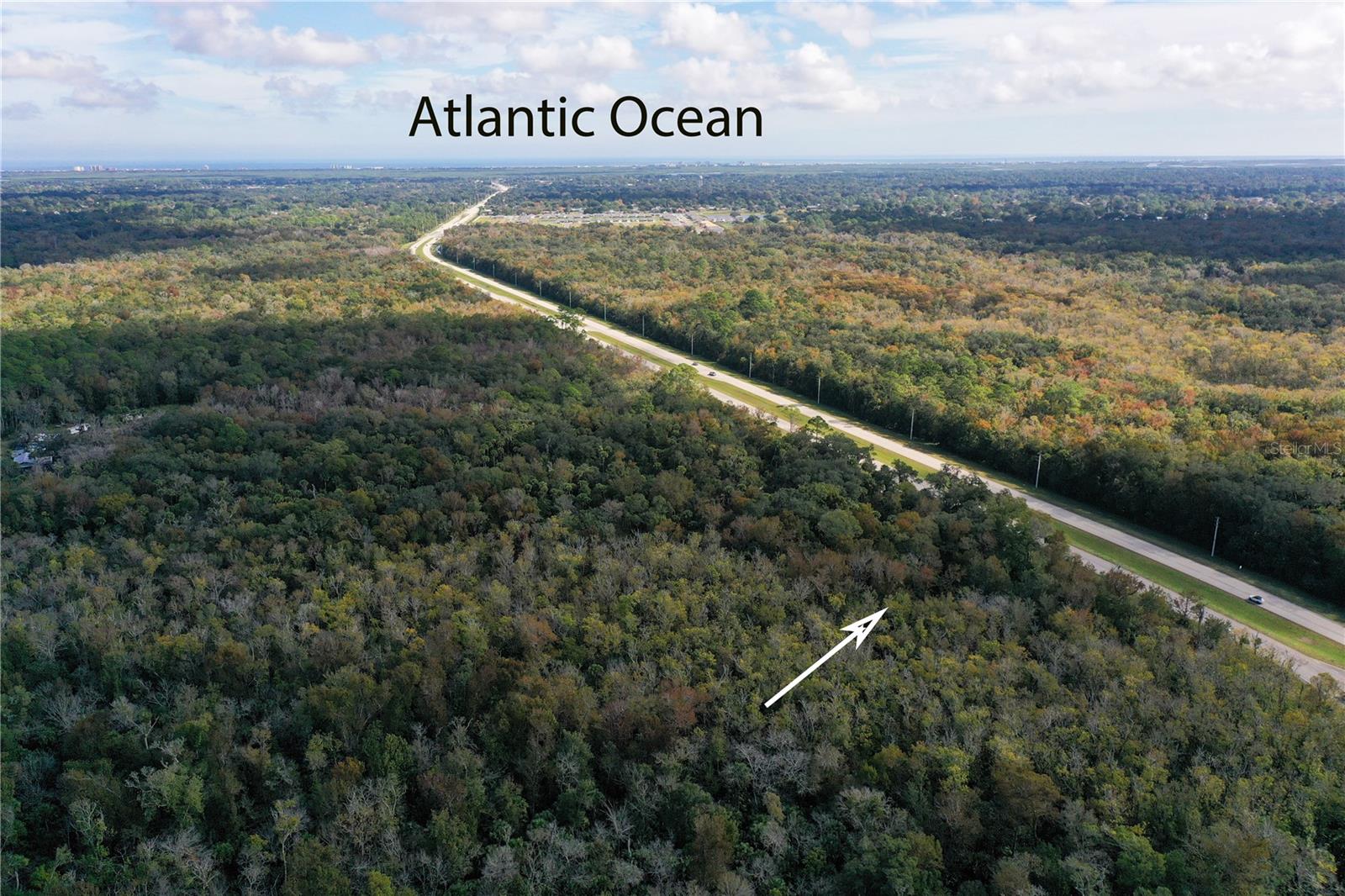 ASSESSORS BETTS GRANT - Land