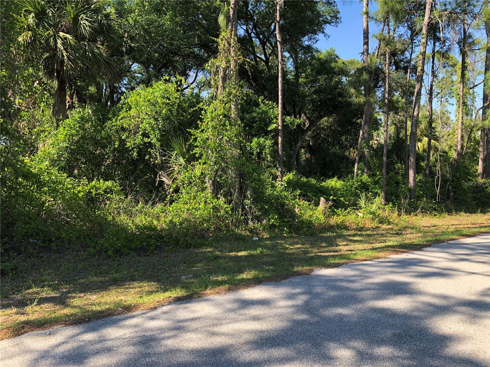 Wooded building lot in area of newer homes.  Good access to shopping and dining. This is the best time to buy and build your Florida dream home.