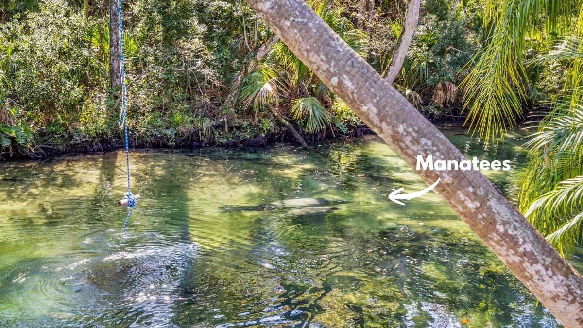 WEEKI WACHEE SHORES - Residential