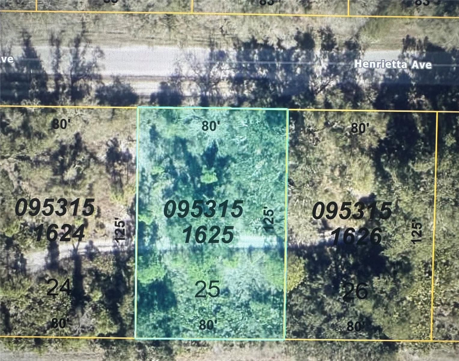 Build your dream home on this residential lot in one of North Port's growing neighborhoods. Located on Henrietta Ave., just across the street from existing homes, this property offers an excellent opportunity for homeowners, builders, or investors. Enjoy the convenience of nearby shopping, restaurants, schools, parks, and easy access to I-75, making travel to Venice, Wellen Park, Port Charlotte, and the Gulf beaches quick and convenient. North Port continues to experience steady growth, making this a great time to secure your place in one of Southwest Florida's most desirable communities. No HOA or CDD fees.