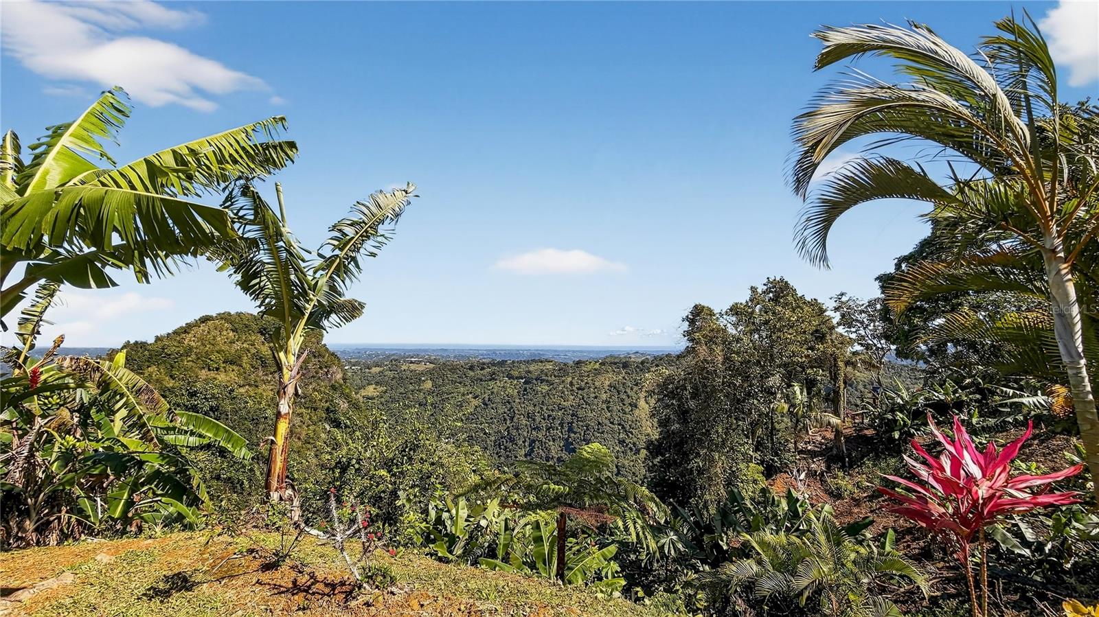 CACAO ALTURITA - Residential