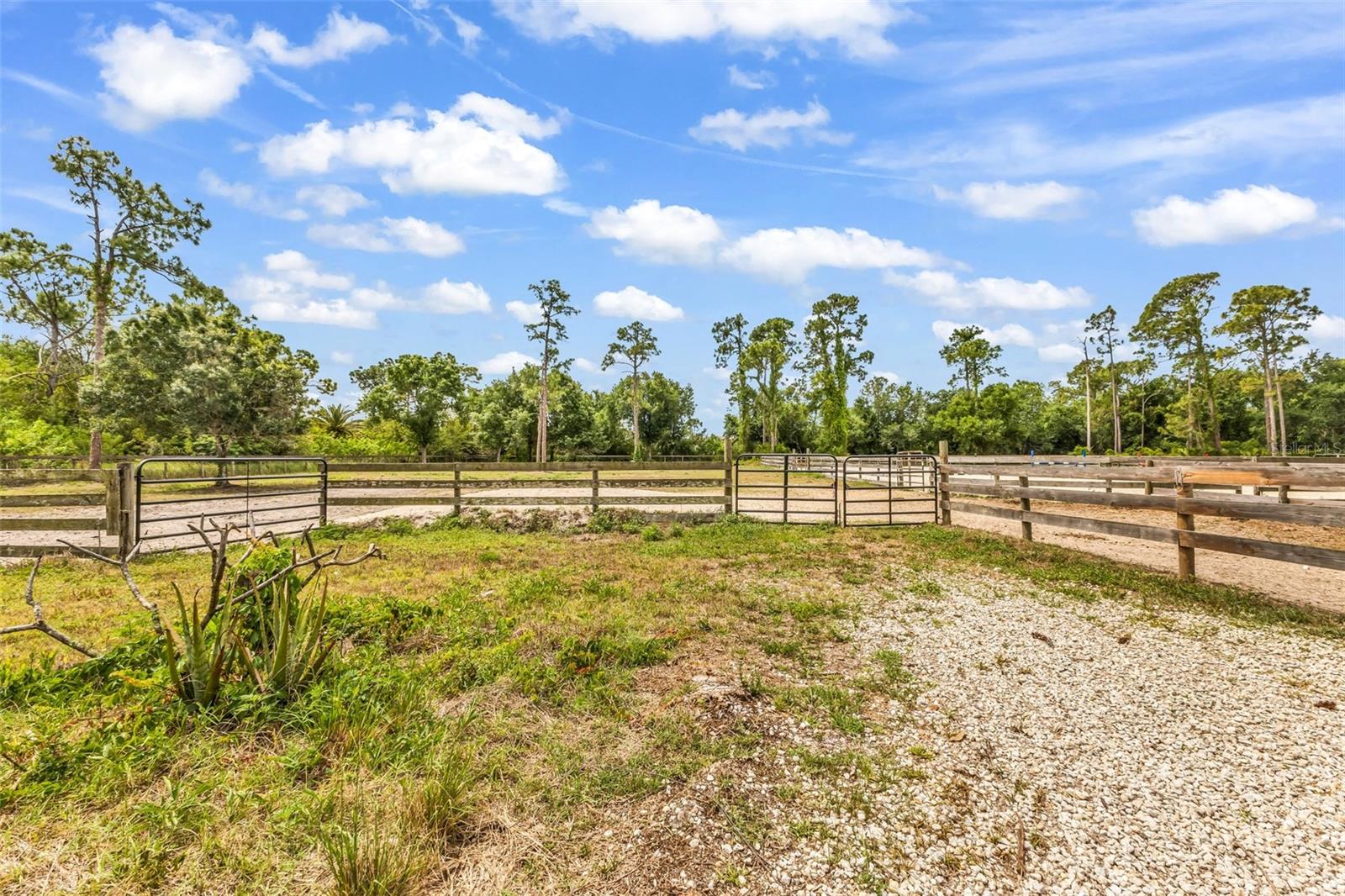 SUNCOAST RANCHES - Residential