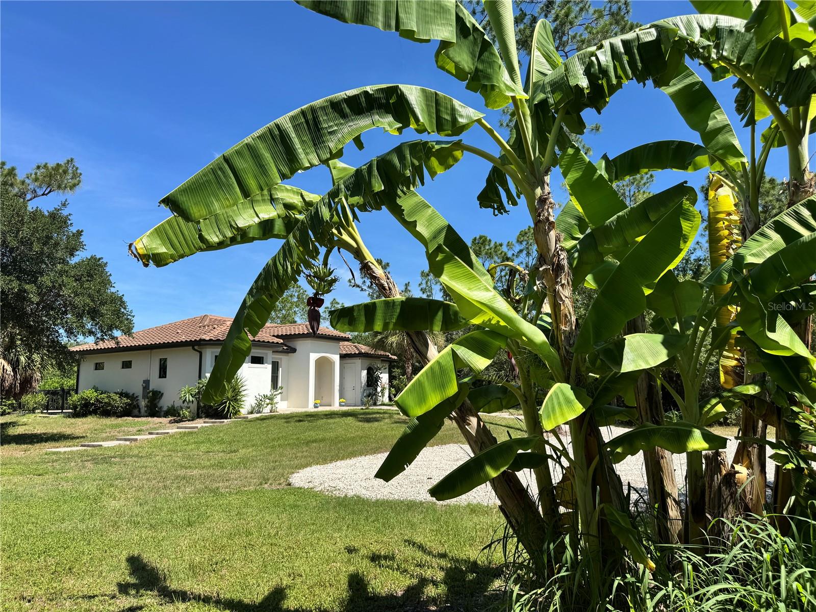 SUNCOAST RANCHES - Residential