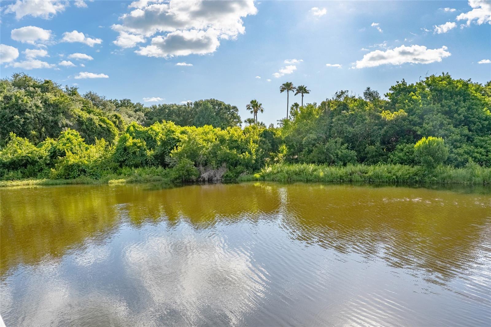 OAK HAMMOCK - Residential