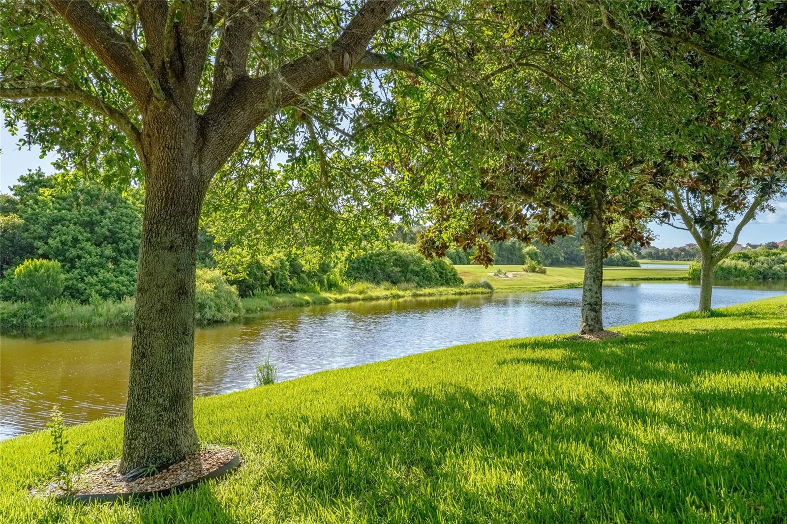 OAK HAMMOCK - Residential