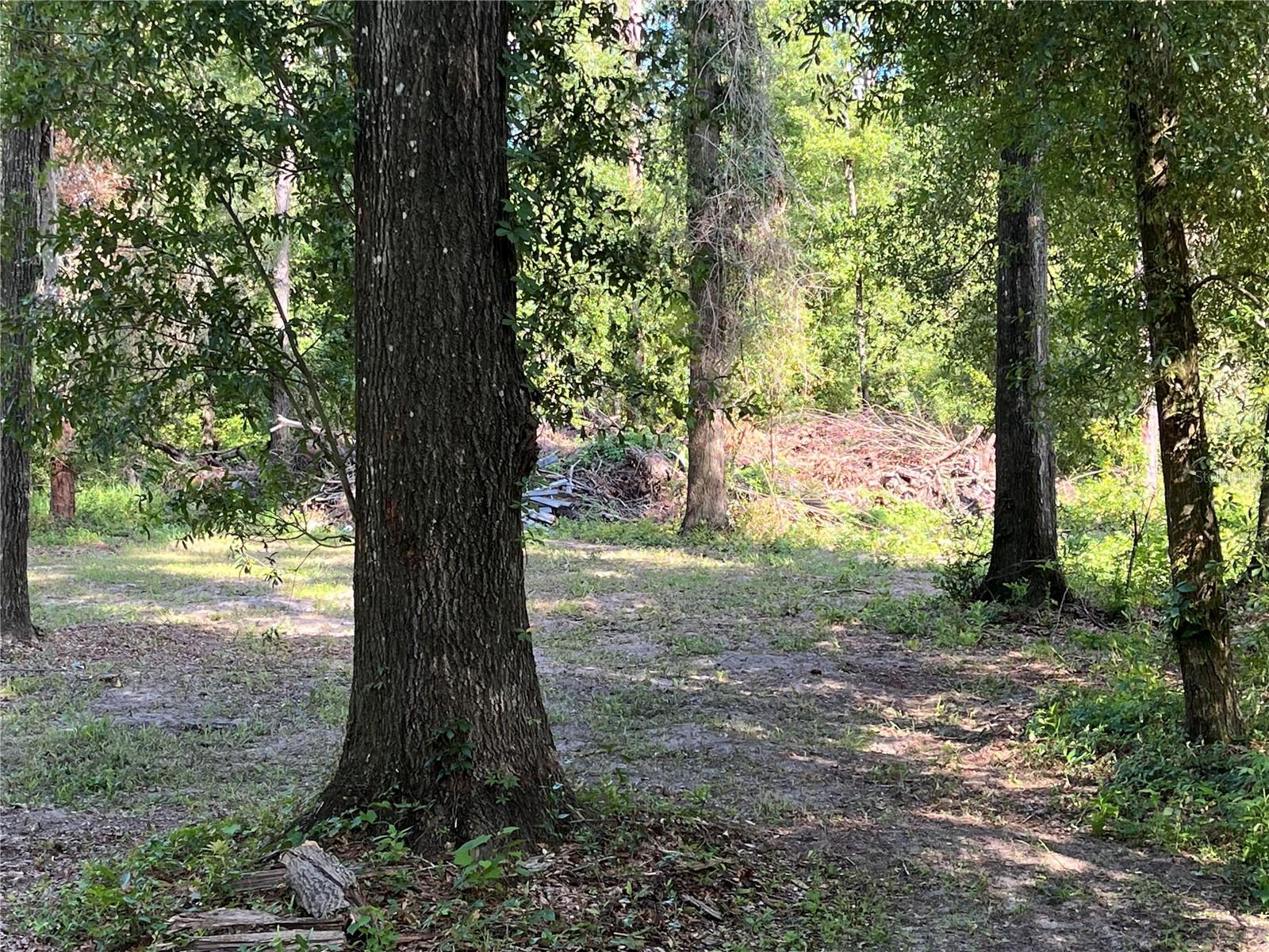SUWANNEE WOODLANDS - Residential