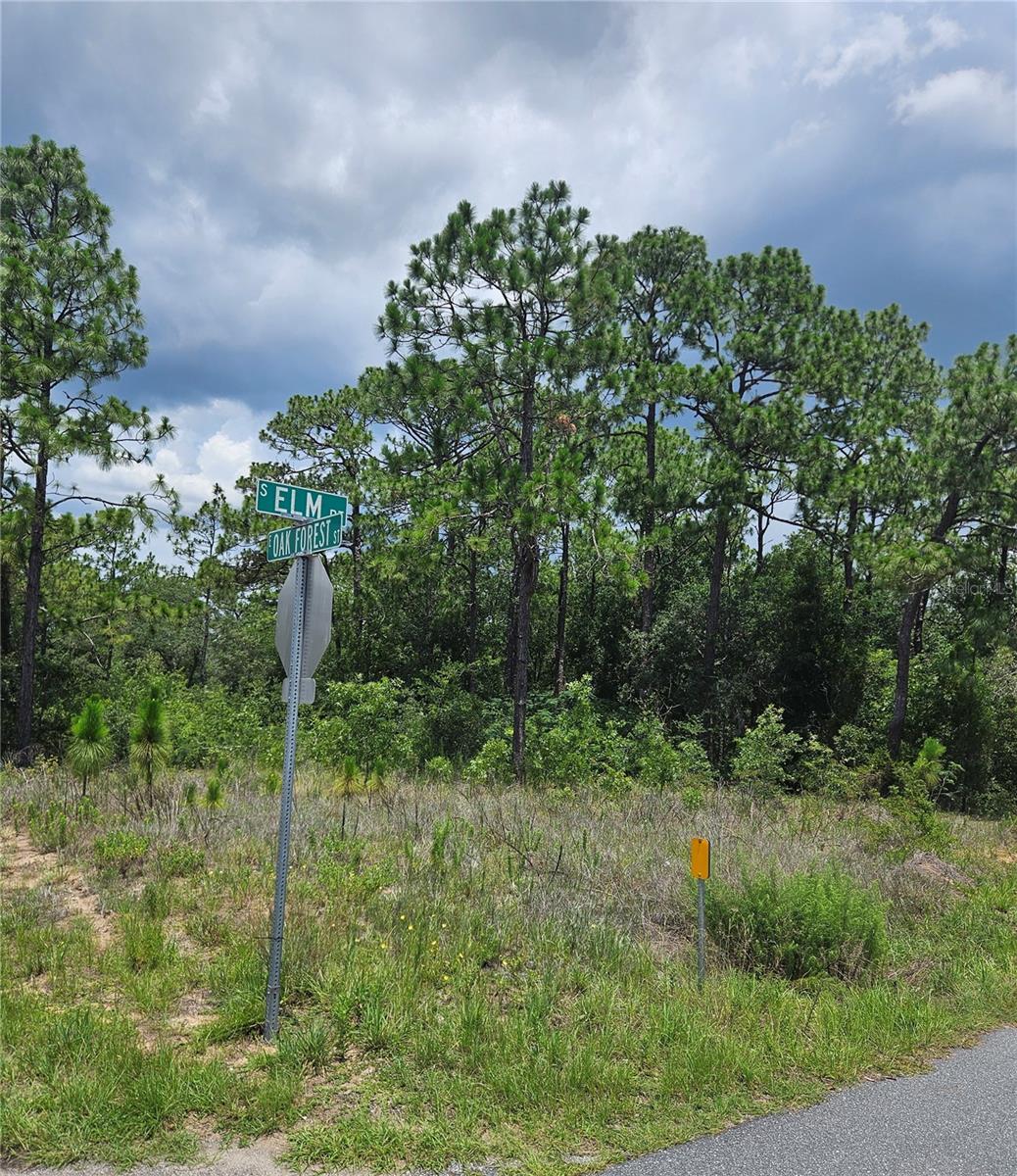 OAK FOREST - Land