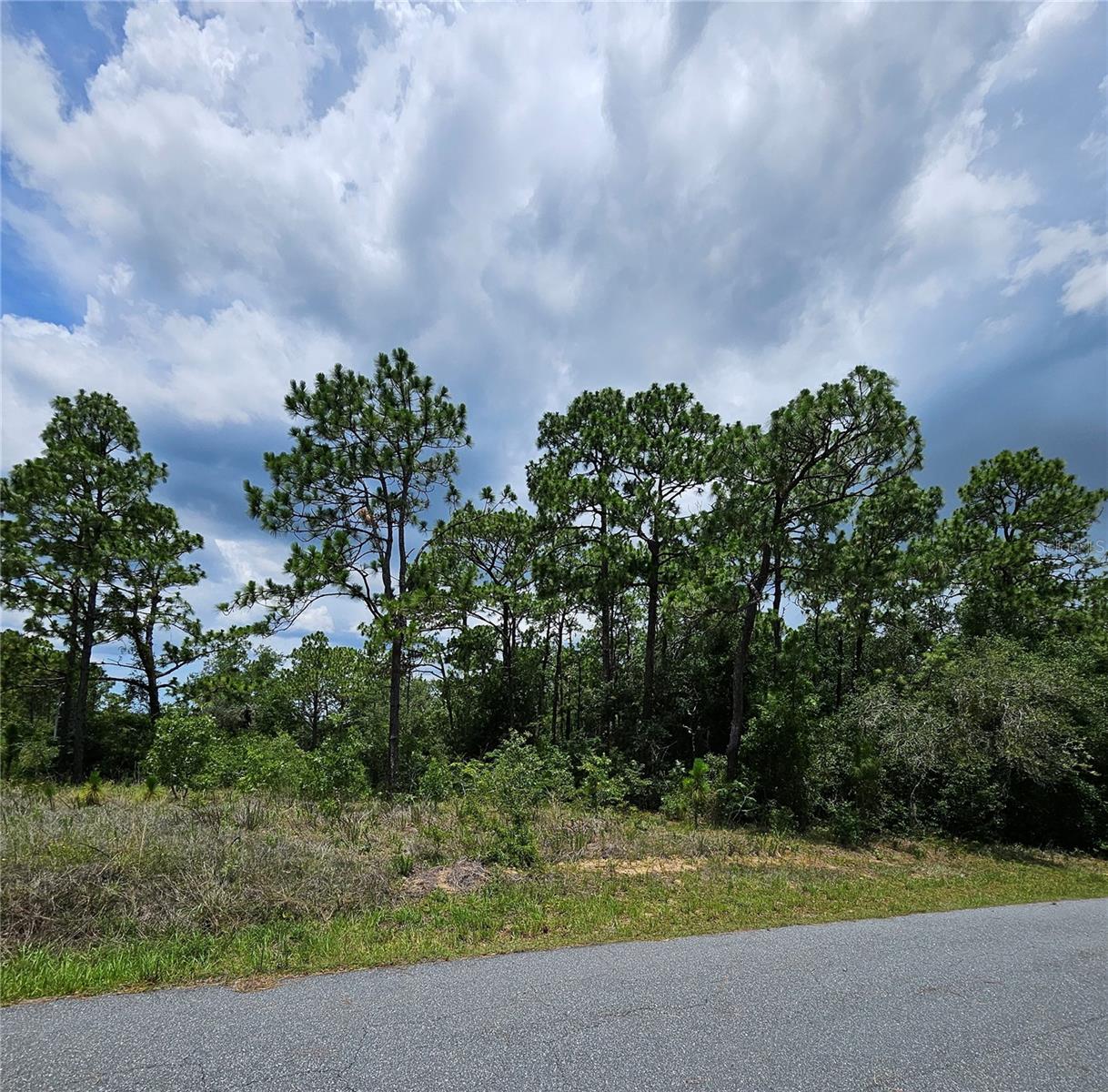 OAK FOREST - Land