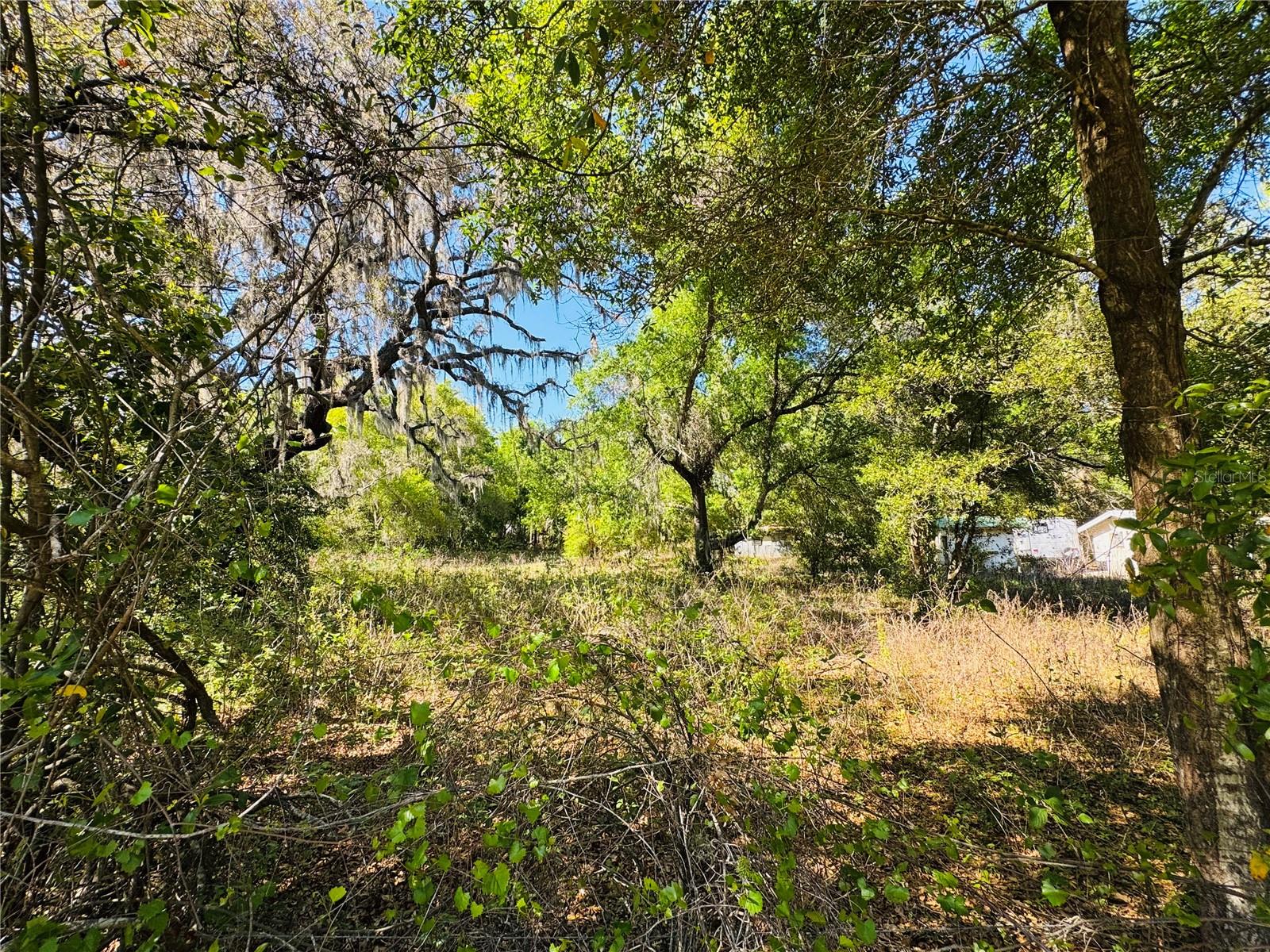 UNPLATTED - Land